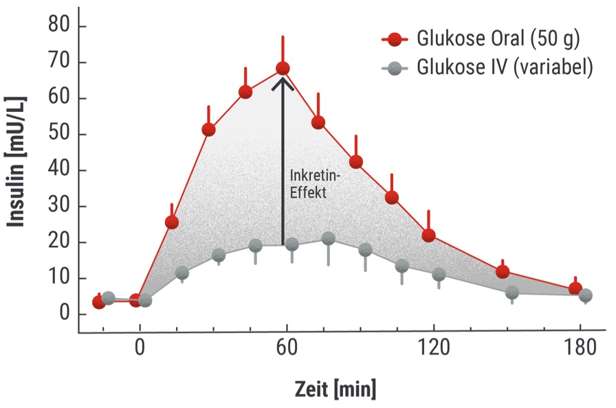 Glukoselevel Regulierung