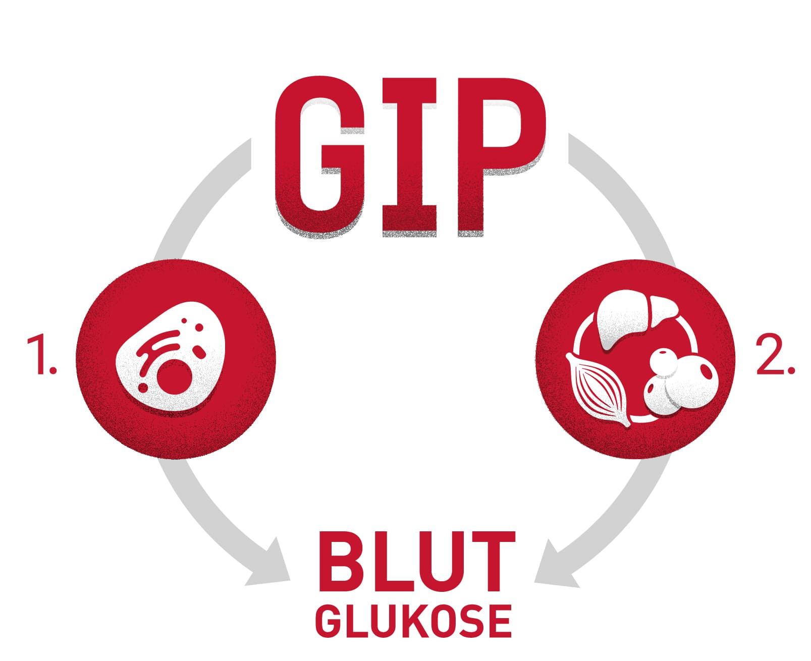GIP und Blut Glukose